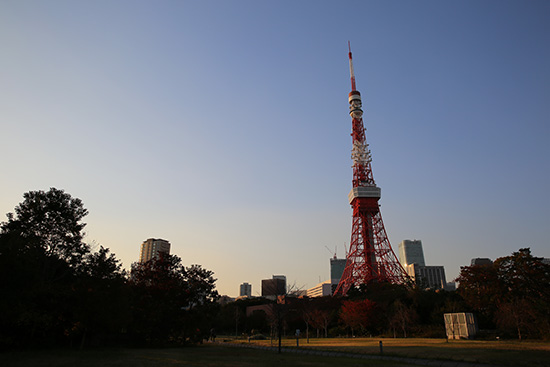 ザ・プリンスパークタワー東京の庭から東京タワー