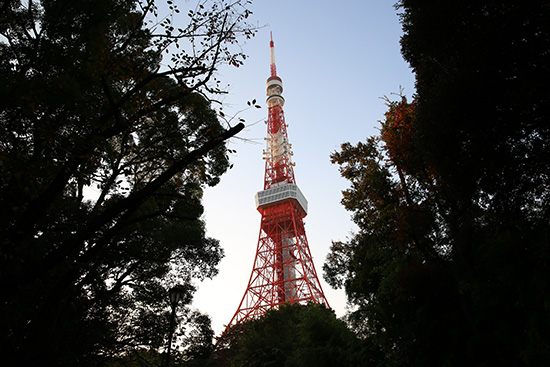 増上寺わき、道を歩いて行くと木の間から東京タワー