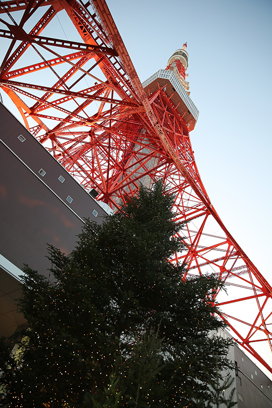 東京タワーとクリスマスツリー